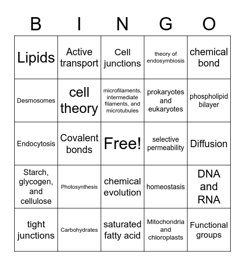 Bio Review Bingo Card