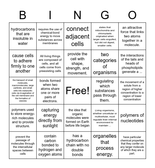 Bio Review Cheat Answer Key Bingo Card