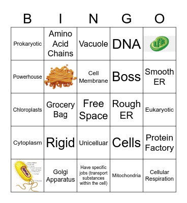 Cell Bingo Review Bingo Card