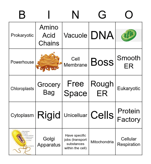 Cell Bingo Review Bingo Card