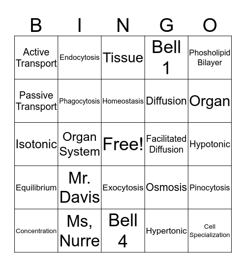 Cell Structure and Function Bingo Card