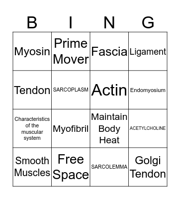 Muscles Muscles Muscles  Bingo Card