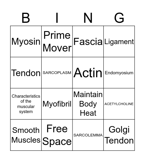 Muscles Muscles Muscles  Bingo Card