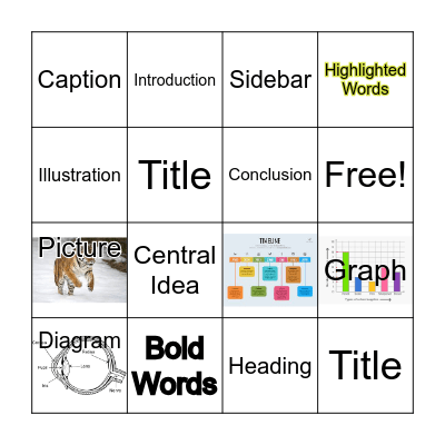Text and Graphic Features Bingo Card