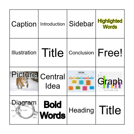 Text and Graphic Features Bingo Card