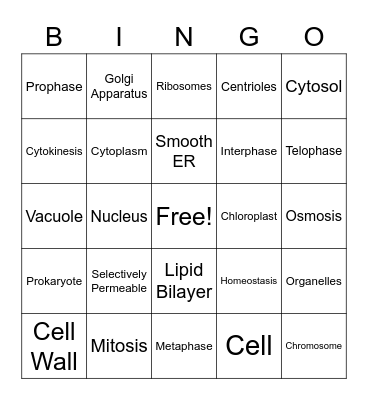 CELLS Bingo Card
