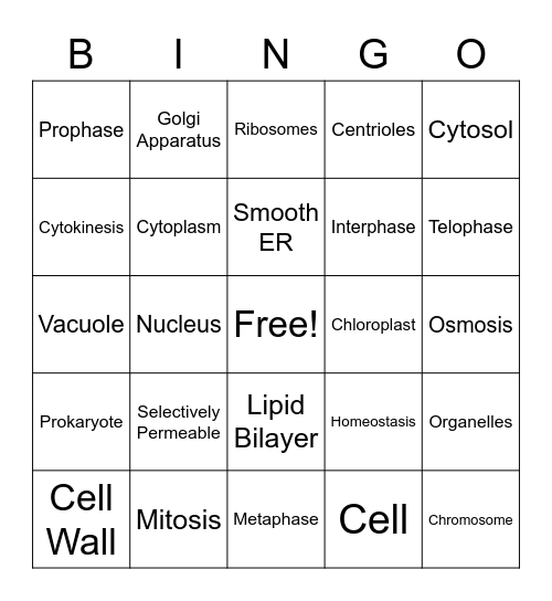 CELLS Bingo Card