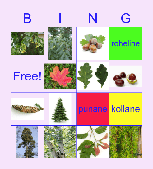 Puude Bingo Card