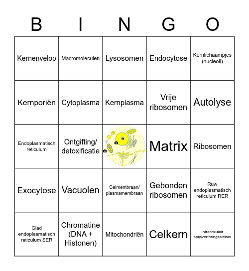 Cytologie bingo Card