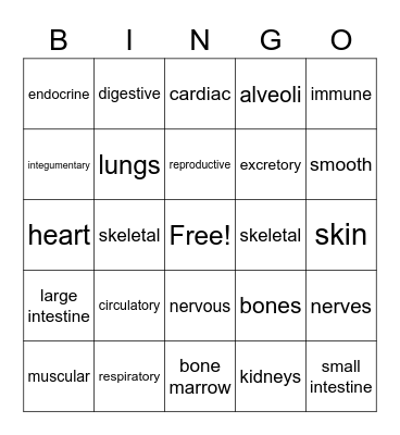 Body Systems Bingo Card