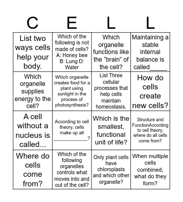 CELLS / BINGO Card