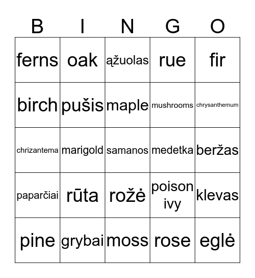 Augalai Bingo Card