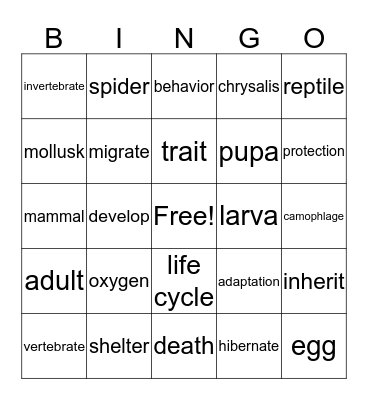 How Animals Live Bingo Card