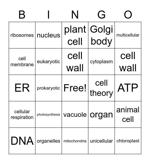 CELLS Bingo Card