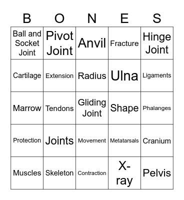 Human Body Review Bingo Card