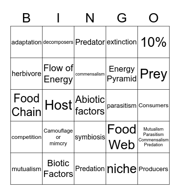 Interdependence  Bingo Card