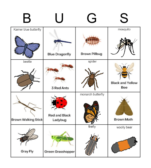 Bugs & Insect Bingo! Bingo Card