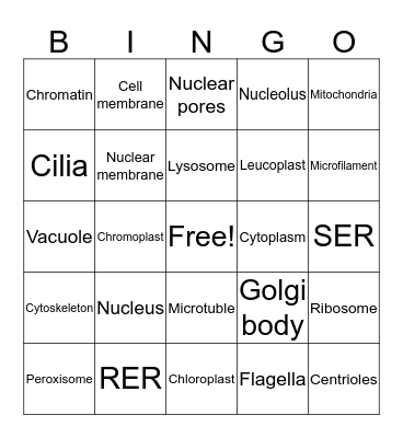 Organelles Bingo Card