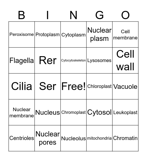 Untitled Bing Bingo Card