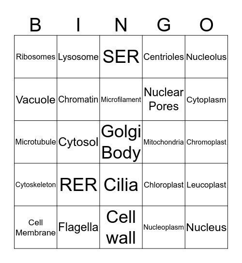 Bio Bingo Card
