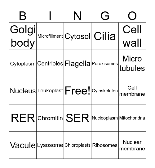 Organelle bingo Card