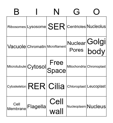 Bio Bingo Card