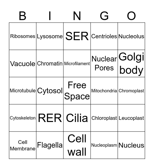 Bio Bingo Card