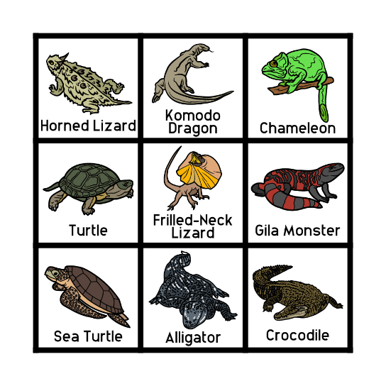 Reptile Bingo! Bingo Card