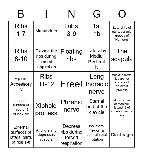 Trunk Bingo Card