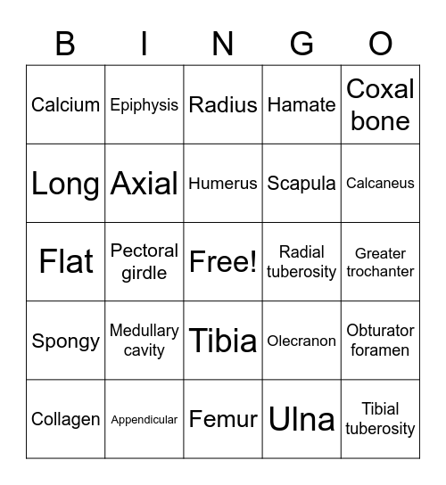 Bone tissue and skeleton Rappahannock CC Bingo Card