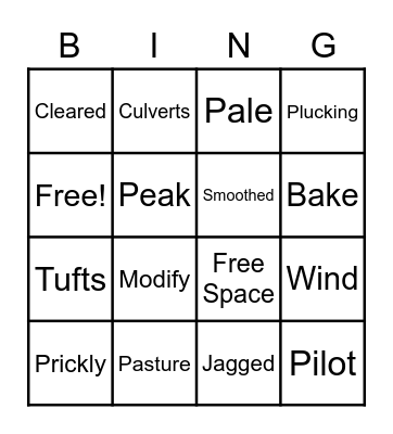 Vocabulary Bingo Card