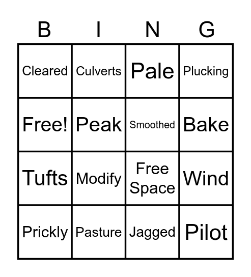 Vocabulary Bingo Card