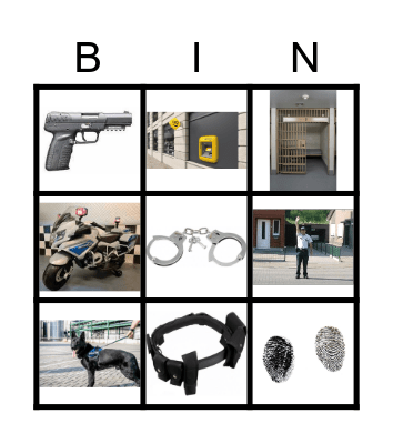 DE POLITIE Bingo Card