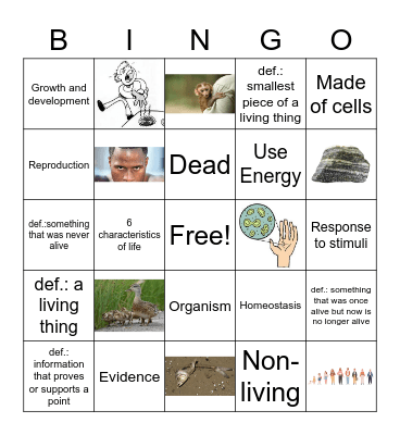 Characteristics of Life Bingo Card