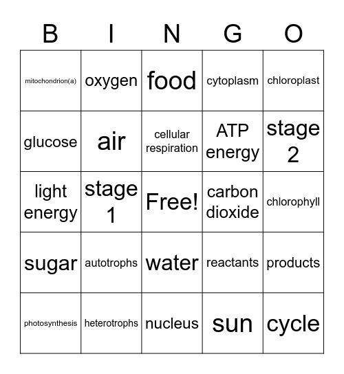 Photosynthesis/ Cellular Respiration Bingo Card