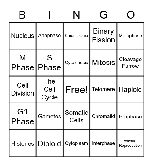 Cell Cycle Vocab Bingo Card