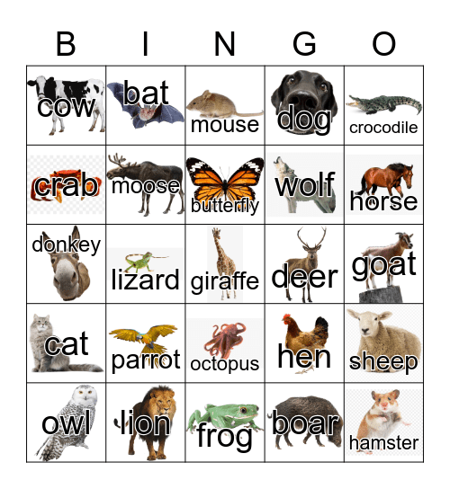 Animals Dinat Bingo Card