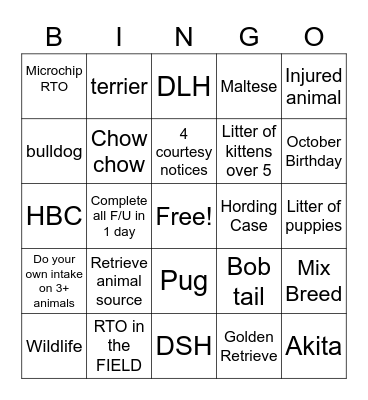 Adoptions Bingo Card