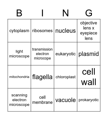 Cells and microscopes Bingo Card