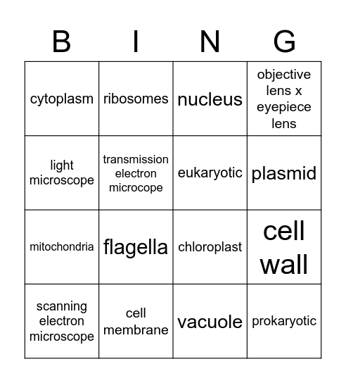 Cells and microscopes Bingo Card