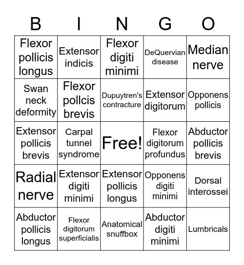 MUSCLES OF THE HAND Bingo Card