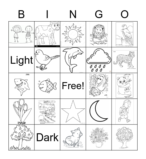 7 Days of Creation Bingo Card