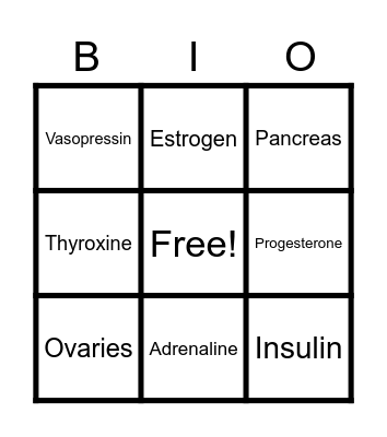 ENDOCRINE SYSTEM Bingo Card