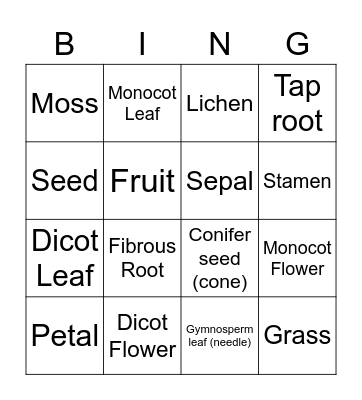 Biol 1105 Lab - Botany Bingo Card