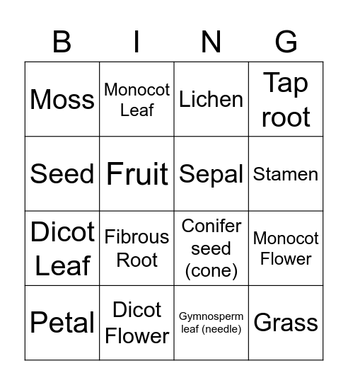 Biol 1105 Lab - Botany Bingo Card