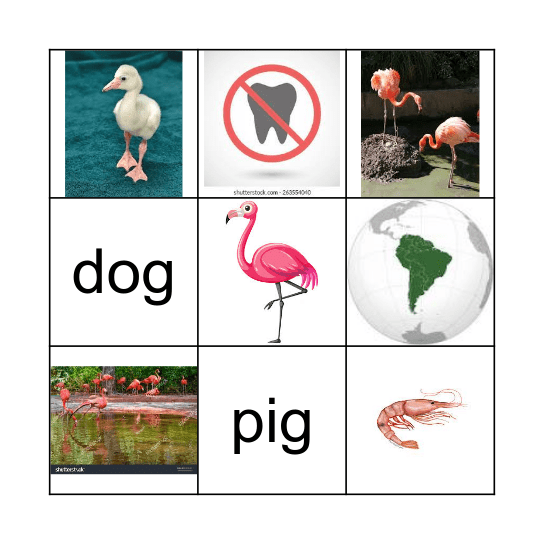 Flamingo Bingo Card