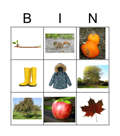 automne Bingo Card