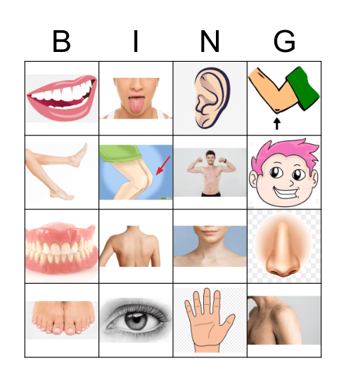 Anggota Tubuh Bingo Card