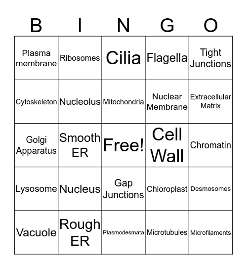 Cell Structure Bingo Card