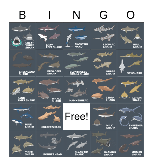 Shark Week Bingo - United Way Week 2022 Bingo Card